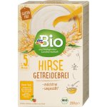 dmBio bio nemléčná jáhlová kaše 250 g – Zboží Dáma