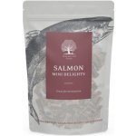 Essential Foods ESSENTIAL Mini Delights Salmon pamlsek pro psy 100 g – Hledejceny.cz