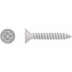 Vrut do plechu se zápustnou hlavou PH2 plný závit bíle pozink. 4,8x19 mm, 12 ks – Hledejceny.cz