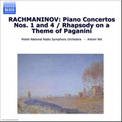 Rachmaninov Sergej Vasiljevič - Piano Concertos No. 1 & 4 CD – Hledejceny.cz