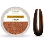 Starnails Nail Art zdobení pigment P001 – Hledejceny.cz