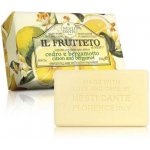 Nesti Dante Il Frutteto mýdlo Citrón a bergamot 250 g – Zboží Dáma