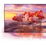 Samsung QE75QN85A – Zboží Živě