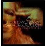 Babybird - Pleasure Of Self Destruction CD – Hledejceny.cz