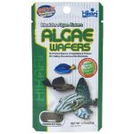 Hikari Tropical Algae Wafers 20 g – Hledejceny.cz