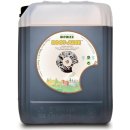 Biobizz RootJuice 10l