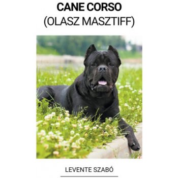Cane Corso Olasz Masztiff