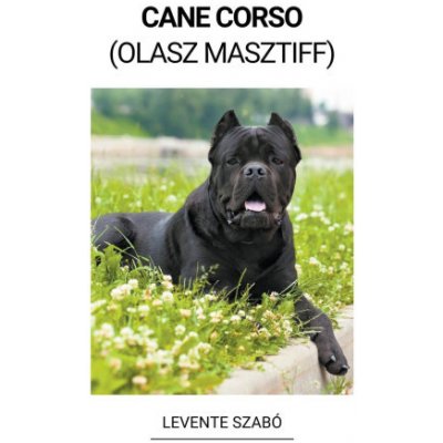 Cane Corso Olasz Masztiff