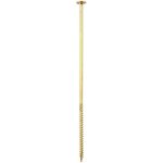 Konstrukční tesařský vrut 10x380mm TORX T40 Zn talířová hlava, 25ks – Hledejceny.cz