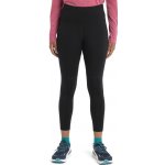 ICEBREAKER Wmns Merino Speed Winter Tights Black – Zboží Mobilmania