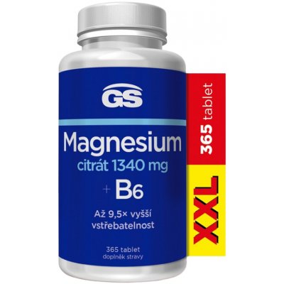GS Magnesium citrát 1340 mg+B6 365 tablet – Hledejceny.cz