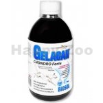 Orling Chondrocan Forte Biosol 500 ml – Hledejceny.cz