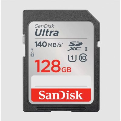 SanDisk SDXC Class 10 128 GB SDSDUNB-128G-GN6IN – Zboží Mobilmania