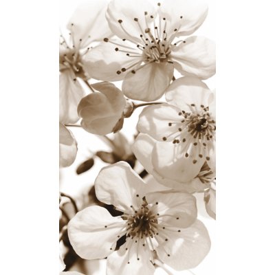 Textilní závěs Květy FCML 7783 - 140 x 245 cm – Hledejceny.cz