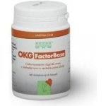 OKG Factor Base 60 ks – Hledejceny.cz