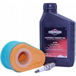 Briggs & Stratton SAE 30 600 ml | Zboží Auto