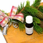 TrigonMedia Vánoční strom aroma esenciální vonný olej 50 ml – Hledejceny.cz