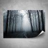 Plakát - Mlhavý les - 60x40 cm - PopyDesign