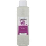 Chemoform Finesse Esence pro sauny koncentrát Šalvěj 1000 ml – Hledejceny.cz