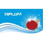 Poháry Bauer Diplom DP0017 Stolní tenis – Hledejceny.cz