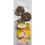 Nature LAND Pochoutka Brunch sušenky s mrkví a pastinákem 120 g – Sleviste.cz