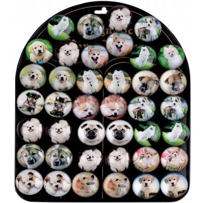 Prima obchod Skleněné magnetky 3D pes barva 2 mix náhodných vzorů pejsek
