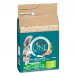 Purina ONE Bifensis Indoor krůta a celozrnné obiloviny 3 kg – Zboží Dáma