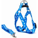 Vsepropejska Usual postroj pro psa s vodítkem – Zbozi.Blesk.cz