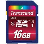 Transcend SDHC 16 GB UHS-I U1 TS16GSDU1 – Zboží Mobilmania