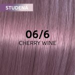 Wella Professionals Shinefinity Zero Lift Glaze demi-permanentní barva na vlasy 06/6 Cherry Wine 60 ml – Zboží Dáma