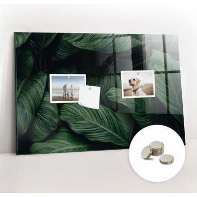 tulup Magnetická Tabule na Zeď Skleněná - Memo Board Kleněnou Přední Stranou - 5 magnetů v balení - 60 x 40 cm - Tropická monstera – Zboží Mobilmania