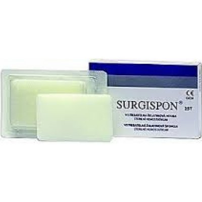 Surgispon Standard 8 x 5 x 1 cm 2 ks