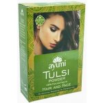 Ayuuri Natural Prášek Tulsi přírodní výživa pro vlasy a pleť 100 g – Hledejceny.cz