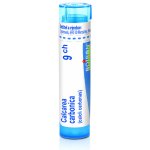 CALCAREA PHOSPHORICA POR 9CH GRA 1X4G – Hledejceny.cz