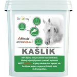 DROMY Kašlík A+ s vyvazovačem mykotoxinů pro koně 2 100 g – Hledejceny.cz