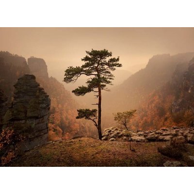 Pohlednice Strážce údolí – Sleviste.cz