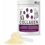 Dromy Collagen 2,5 kg – Zboží Dáma