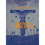 Cizinec v cizí zemi – Hledejceny.cz