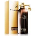 Montale Full Incense parfémovaná voda unisex 100 ml – Hledejceny.cz