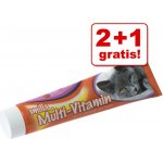 Smilla Multivitaminová pasta 3 x 0,2 kg – Sleviste.cz