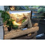 TeraZoo želvárium Pangea 100 x 40 x 40 cm – Zboží Dáma