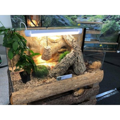 TeraZoo želvárium Pangea 100 x 40 x 40 cm – Zboží Dáma