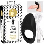 Lust Vibrating Cock Ring – Sleviste.cz