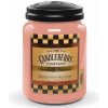 Svíčka Candleberry Watermelon Rancher 624 g