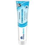 Todaydent Zahncreme Frischegel 125 ml – Hledejceny.cz
