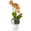 Eva Solo Skleněný samozavlažovací květináč na orchideje 13 cm