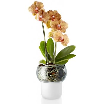 Eva Solo Skleněný samozavlažovací květináč na orchideje 13 cm