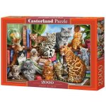 Castorland Kočky v domě 2000 dílků – Zboží Mobilmania