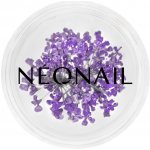 NEONAIL Dried Flowers sušený květ na nehty odstín 06 Violet 1 ks – Hledejceny.cz