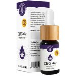 CBDčko CBD + MCT Olej Strawberry Jahoda 10% 10 ml – Sleviste.cz